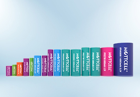 消費(fèi)類電池